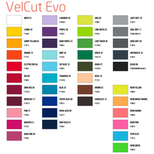 Gamme 2026 couleur flex floqué