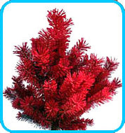 Floc Sapin Couleurs